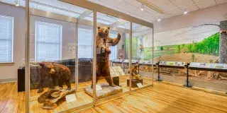 Horry County Museum Photo 5