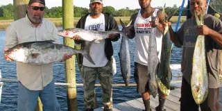 Hurricane Fleet Photo