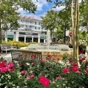 The Market Common Photo