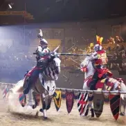 Medieval Times Dinner & Tournament Photo