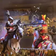 Medieval Times Dinner & Tournament Photo