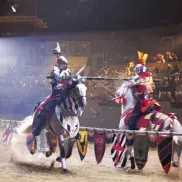 Medieval Times Dinner & Tournament Photo