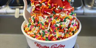 Mister Softee of Horry County Photo