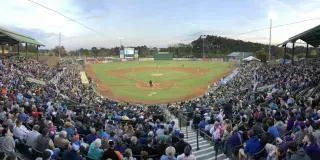 Myrtle Beach Pelicans Photo 3