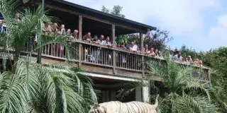 Myrtle Beach Safari Photo