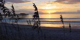 Myrtle Beach State Park Photo