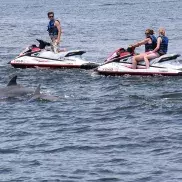 Myrtle Beach Watersports Photo
