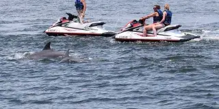 Myrtle Beach Watersports Photo