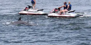 Myrtle Beach Watersports Photo