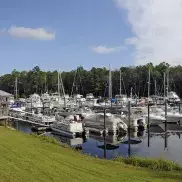 Osprey Marina, LLC Photo