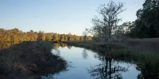 Plantation River Tours and Airboat Rides Photo