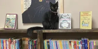 Back Again Bookshop Photo