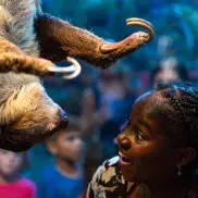 Ripley's Aquarium of Myrtle Beach Photo