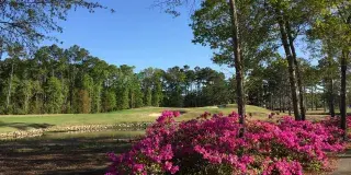 River Oaks Golf Club Photo