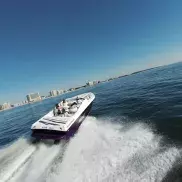 Southern Shores Island & Dolphin Cruises Photo
