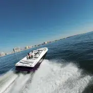 Southern Shores Island & Dolphin Cruises Photo