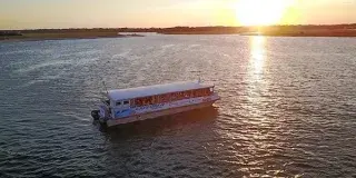 Sunset and Sea Life Photo