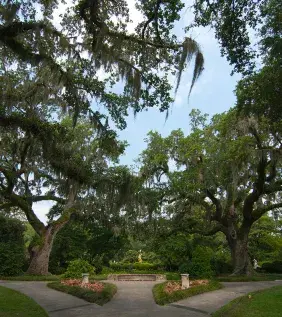 Scenic walk in Brookgreen