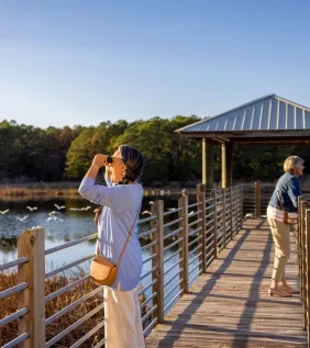 Bird Watching at Huntington Beach State Park