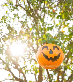 Halloween pumpkins in trees in Conway
