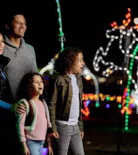 Winter Wonderland at The Beach Holiday Lights