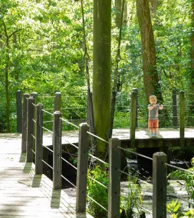 Brookgreen Gardens Lowcountry Zoo