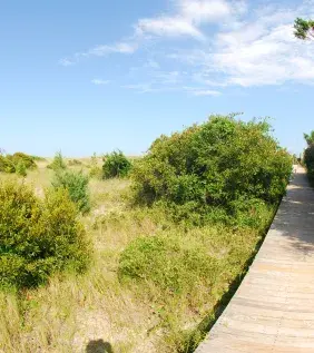 Boardwalk in Huntington Beach State Park