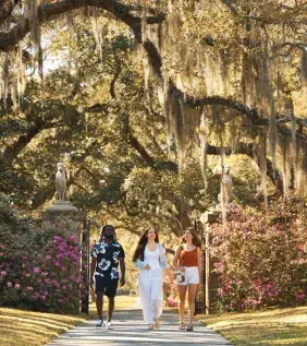Brookgreen Gardens Live Oaks