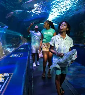 Ripley's Aquarium Myrtle Beach