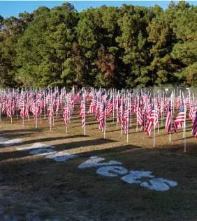250 American Flags installed in the ground.