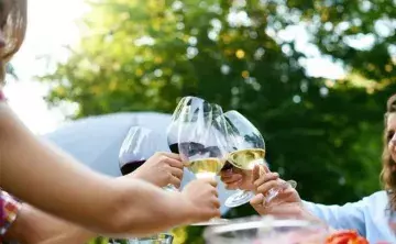 Ladies clinking wine glasses
