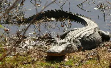Local Plants & Wildlife through the Lens of Steve Berkowitz