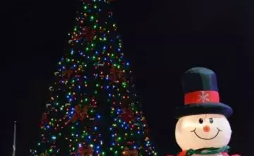 nmb tree lighting
