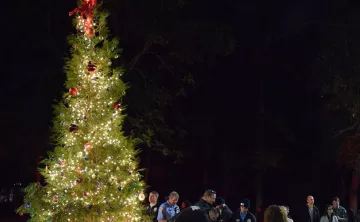 Christmas tree lit up with star on top