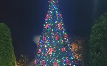 Lit up decorated christmas tree