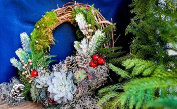 Holiday Succulent Wreath Workshop
