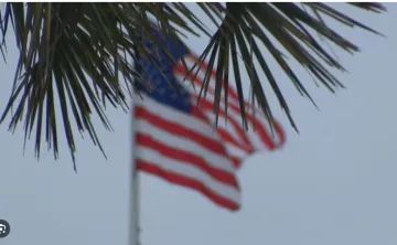 palm tree and american flag