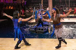 Pirate Fight