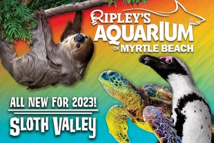 Ripley's Aquarium Myrtle Beach Sloth Valley