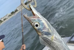 Crazy Sister Marina close up of fish with fisherman in background