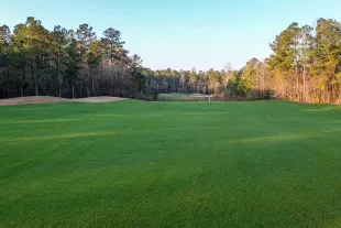 Diamondback fairway with trees