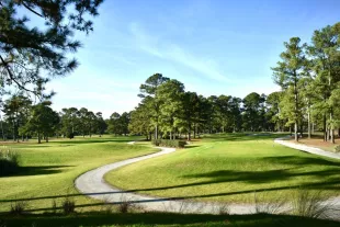 Eagle Nest greens with curvy golf cart path