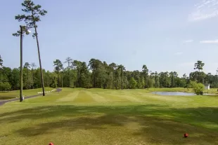 Tupelo Bay Golf green and fairway