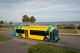 Coast RTA yellow and blue bus along Ocean Drive