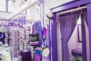 Purpleologist store interior