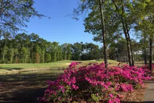 River Oaks Golf Club