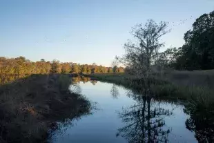 River Tour