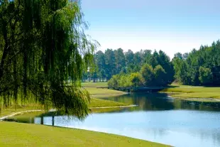 Sandpiper Bay Golf & Country Club