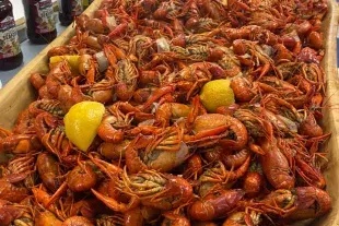 Crawfish Boil