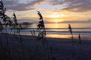 Myrtle Beach State Park